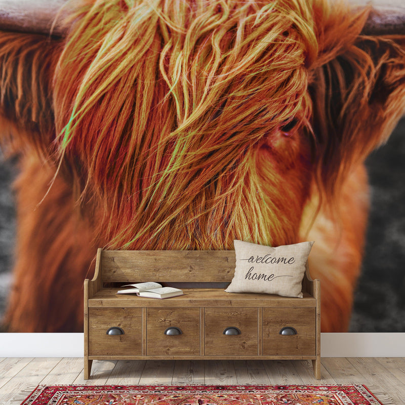 Highland Cow Cattle Head Wall Mural - Farmhouse Charm for Your Home.