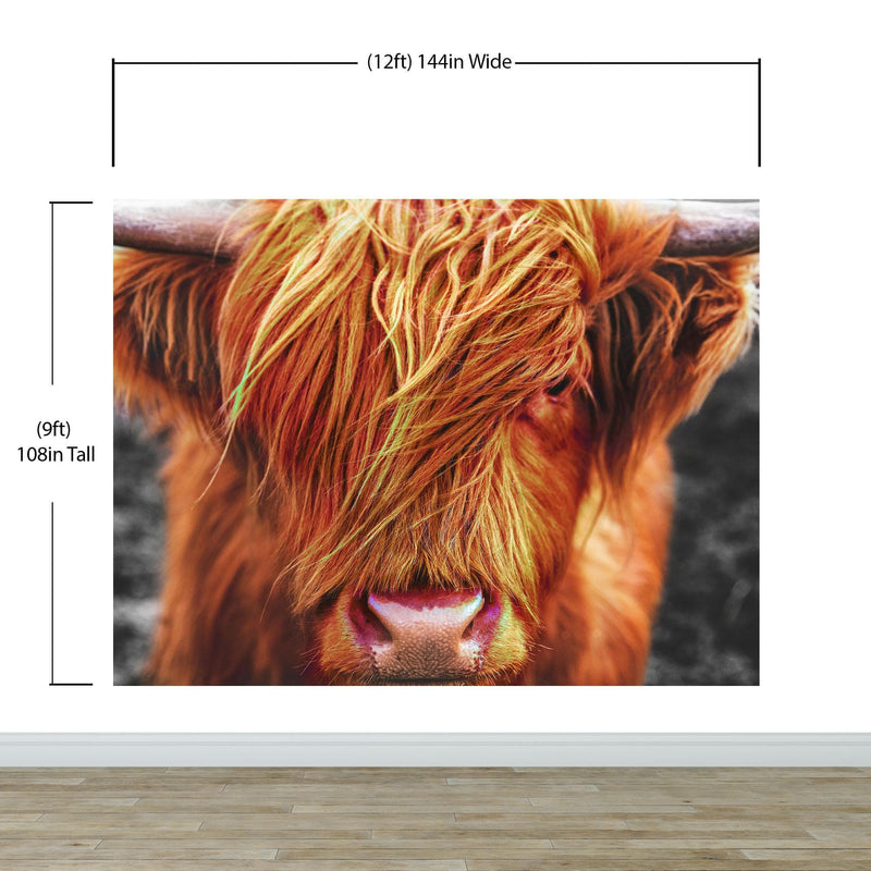 Highland Cow Cattle Head Wall Mural - Farmhouse Charm for Your Home.