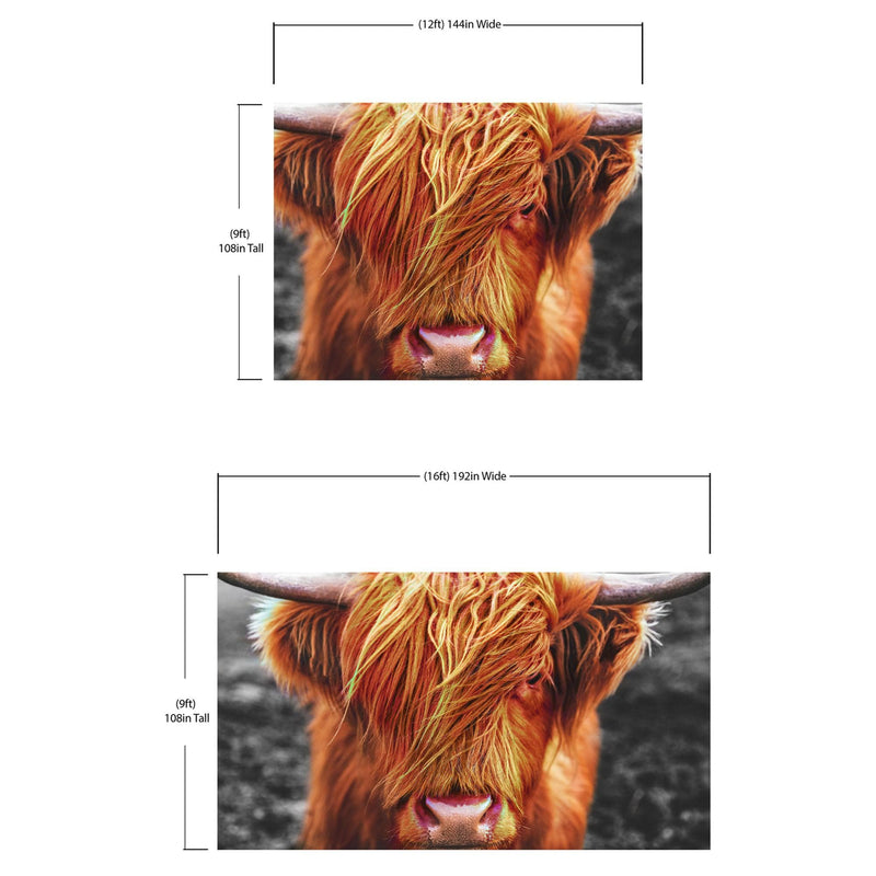 Highland Cow Cattle Head Wall Mural - Farmhouse Charm for Your Home.