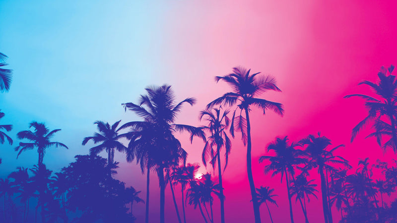 Miami Tropical Palm Tree Vice Color Wall Mural. Bright Miami Vice Blue and Fuchsia Colors.