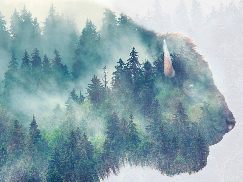 Foggy Mountain Forest View with Bison Buffalo Overlay Natural Scenery Wall Mural