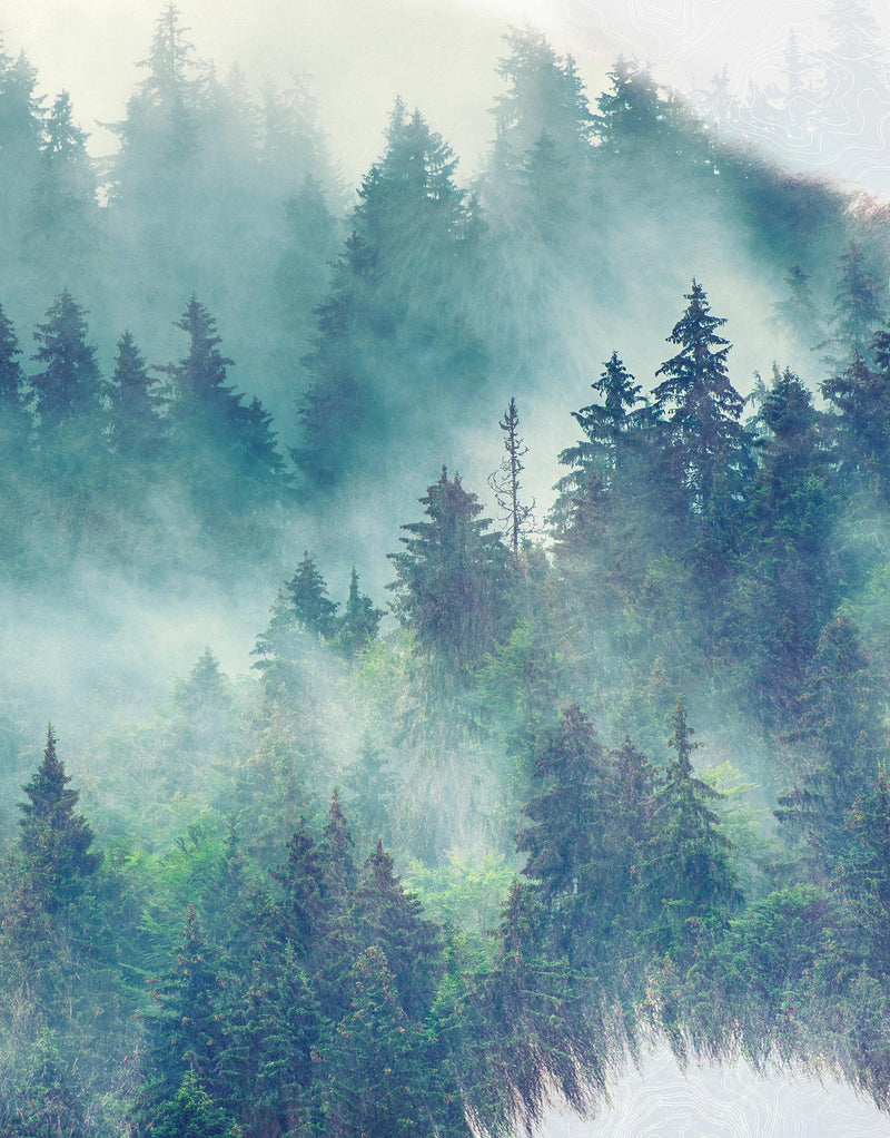 Foggy Mountain Forest View with Bison Buffalo Overlay Natural Scenery Wall Mural