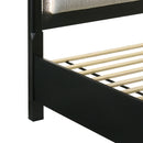 Opel - Storage Bed With LED Headboard by HouseOfZazla