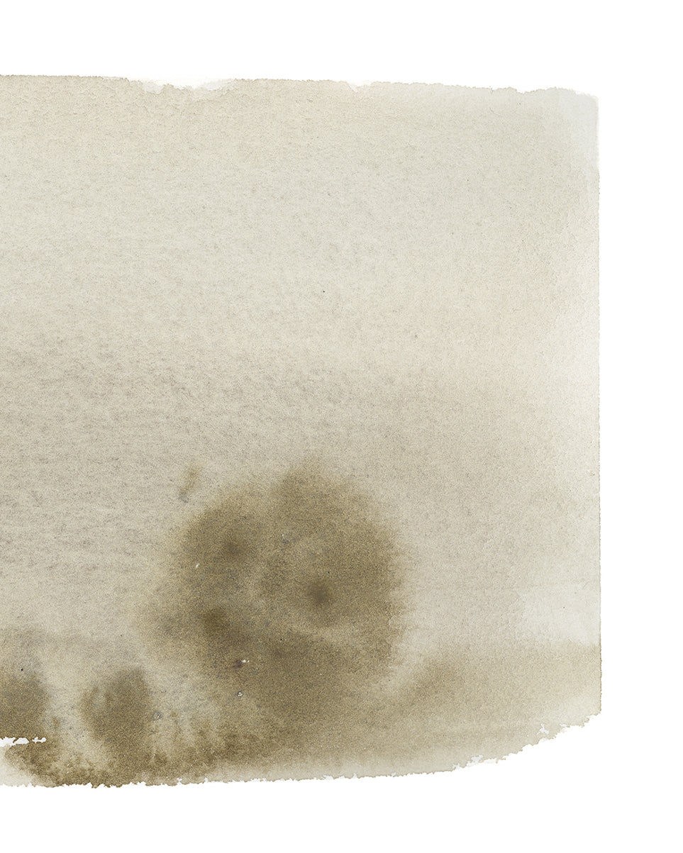 Olive Wash, photo 4 of 4