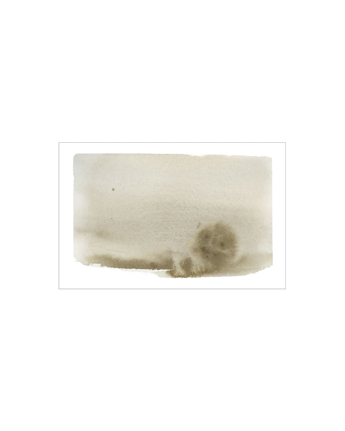 Olive Wash, photo 3 of 4