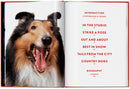Walter Chandoha. Dogs. Photographs 1941–1991 (English)
