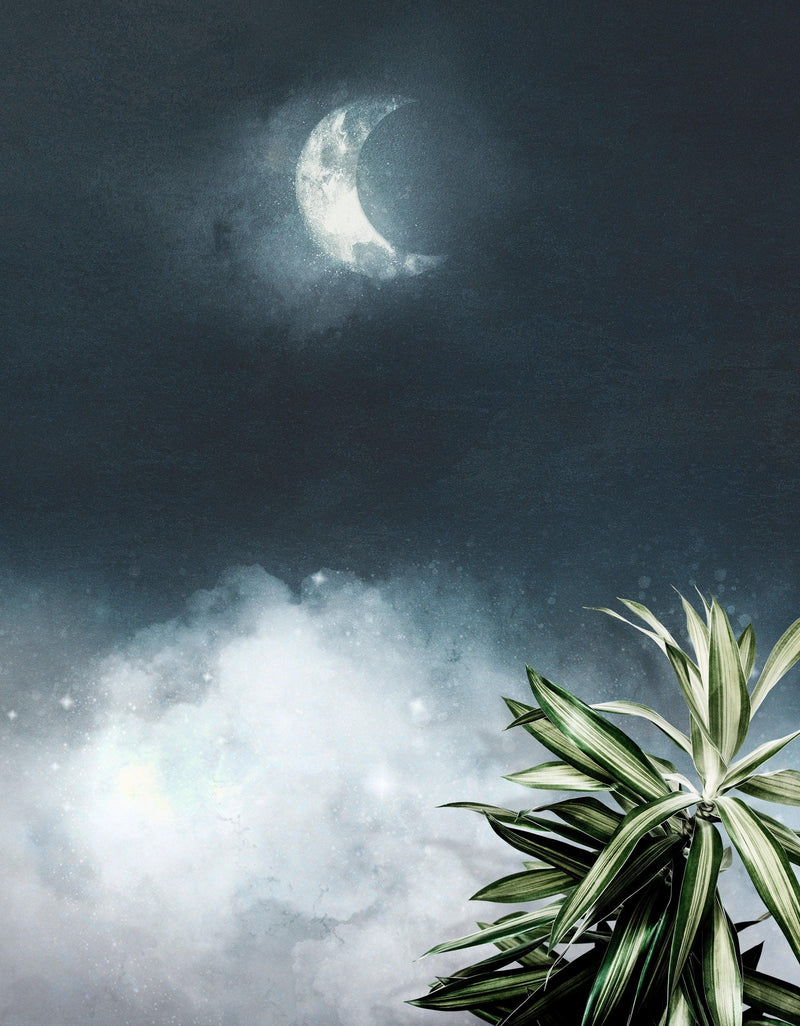 Crescent Moon Shining Over Misty Clouds Wall Mural. Peel and Stick Wallpaper.