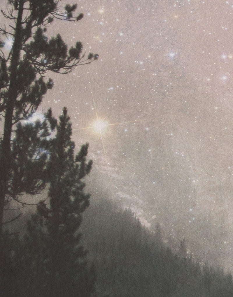 Foggy Misty Forest Trees Over Mountain Under a Starry Night Wall Mural.