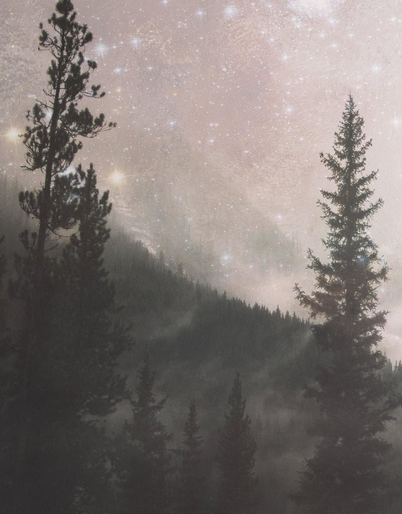 Foggy Misty Forest Trees Over Mountain Under a Starry Night Wall Mural.