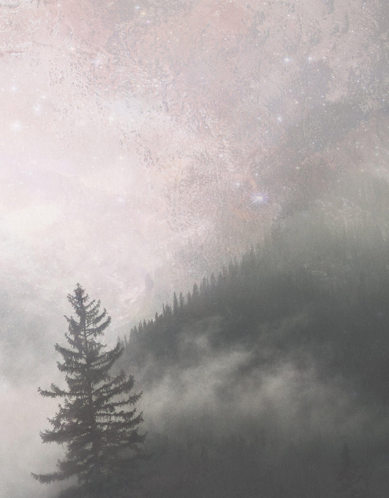 Foggy Misty Forest Trees Over Mountain Under a Starry Night Wall Mural.