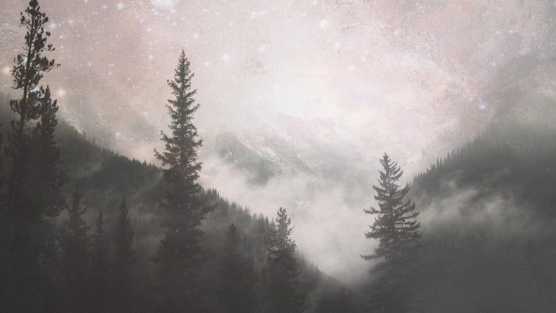 Foggy Misty Forest Trees Over Mountain Under a Starry Night Wall Mural.