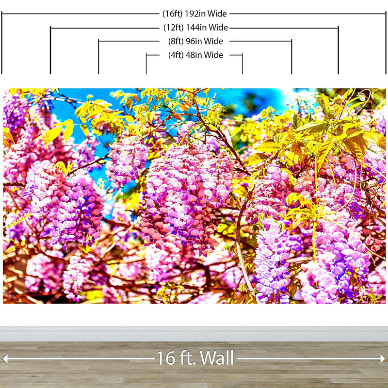 Colorful Purple Wisteria Flower Wall Mural. Peel and Stick Wallpaper.