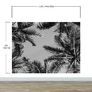 Black and White Tropical Palm Tree Mural. Vintage Summer Vibe.