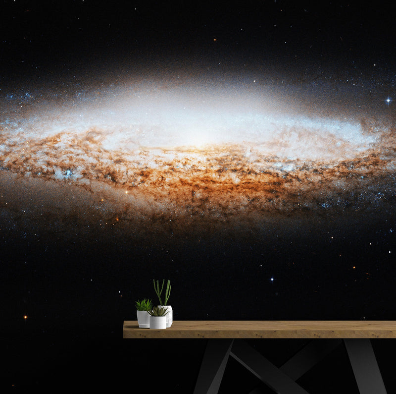 Milky Way Galaxy Wall Mural Peel and Stick Wallpaper.