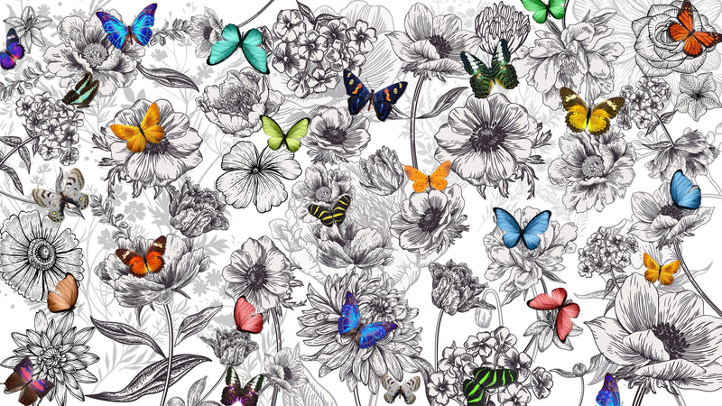 Butterflies in Flower Garden Wall Mural. Retro Black and White Illustration Floral Design.