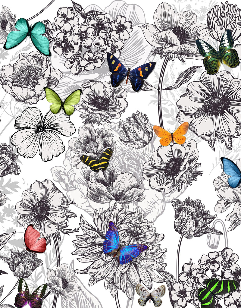 Butterflies in Flower Garden Wall Mural. Retro Black and White Illustration Floral Design.