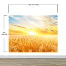 Sunset Sunrise over Farmland Wheat Field Wall Mural. Peel and Stick Wall Paper.