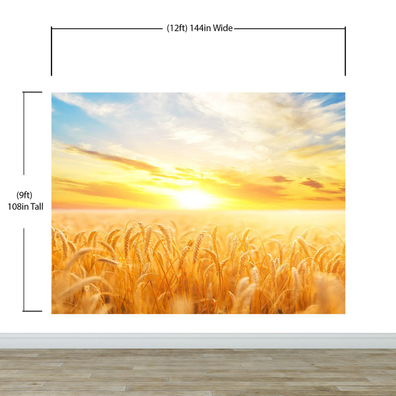 Sunset Sunrise over Farmland Wheat Field Wall Mural. Peel and Stick Wall Paper.