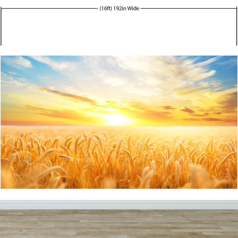 Sunset Sunrise over Farmland Wheat Field Wall Mural. Peel and Stick Wall Paper.