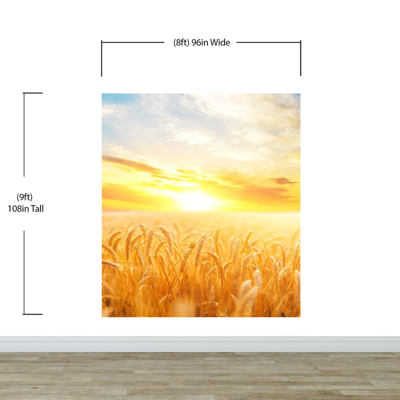 Sunset Sunrise over Farmland Wheat Field Wall Mural. Peel and Stick Wall Paper.