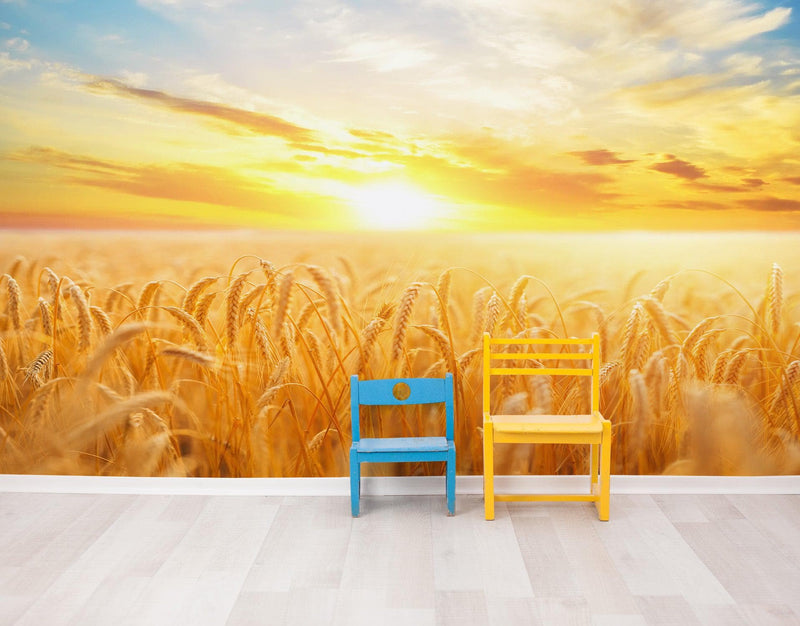 Sunset Sunrise over Farmland Wheat Field Wall Mural. Peel and Stick Wall Paper.