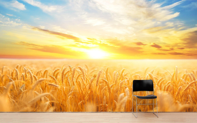 Sunset Sunrise over Farmland Wheat Field Wall Mural. Peel and Stick Wall Paper.