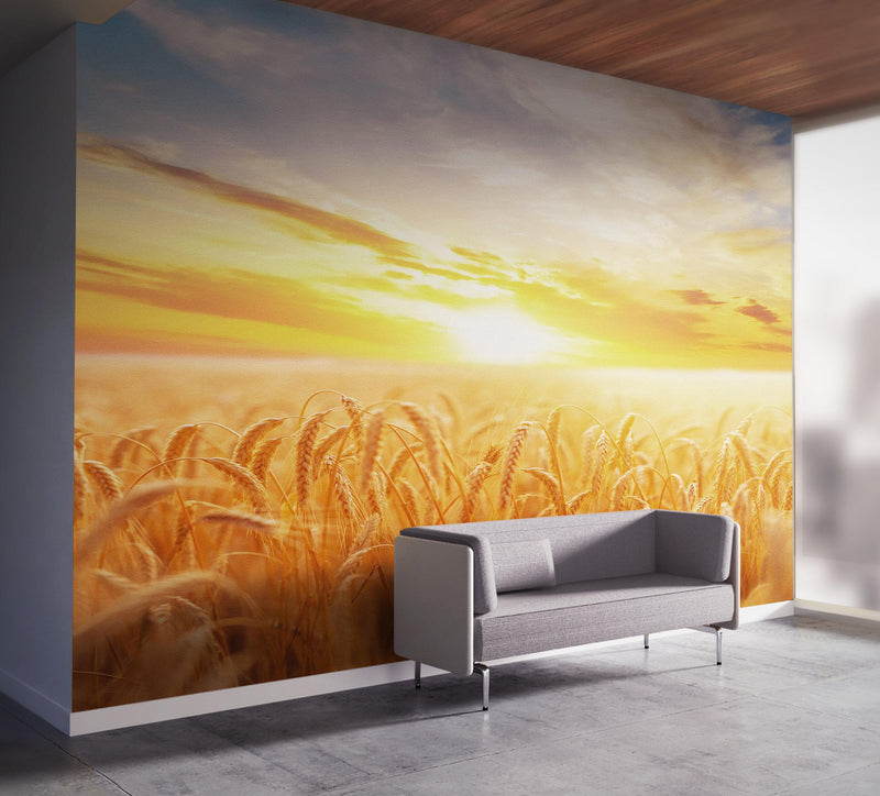 Sunset Sunrise over Farmland Wheat Field Wall Mural. Peel and Stick Wall Paper.