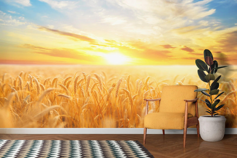 Sunset Sunrise over Farmland Wheat Field Wall Mural. Peel and Stick Wall Paper.