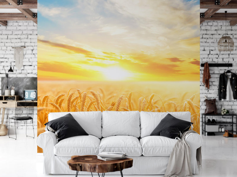 Sunset Sunrise over Farmland Wheat Field Wall Mural. Peel and Stick Wall Paper.