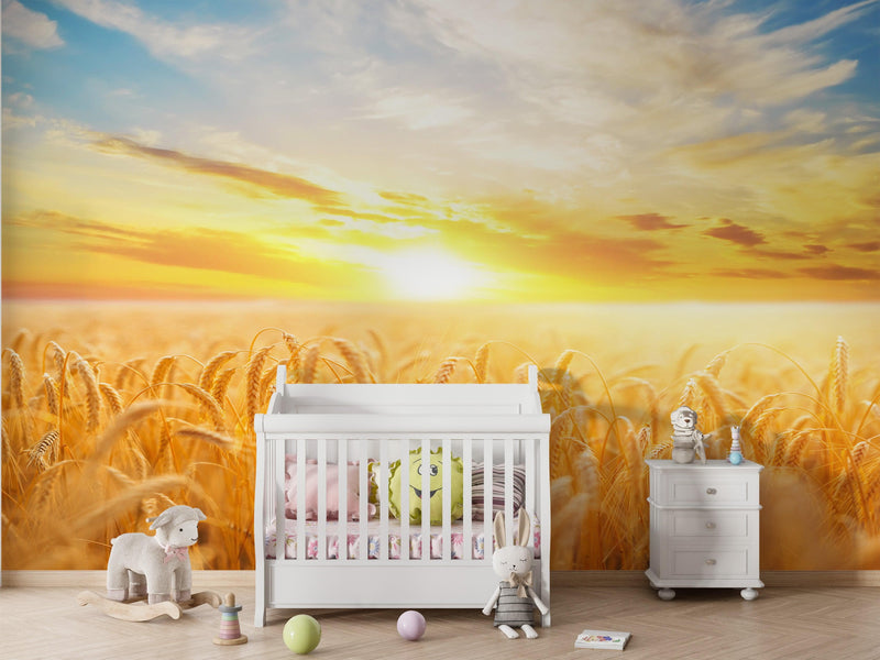 Sunset Sunrise over Farmland Wheat Field Wall Mural. Peel and Stick Wall Paper.