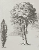 Vintage Forest Trees Wall Mural. Monochrome Abstract Sketched Art Design. Peel and Stick Wallpaper | Removable Wall Mural.