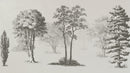Vintage Forest Trees Wall Mural. Monochrome Abstract Sketched Art Design. Peel and Stick Wallpaper | Removable Wall Mural.
