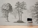 Vintage Forest Trees Wall Mural. Monochrome Abstract Sketched Art Design. Peel and Stick Wallpaper | Removable Wall Mural.