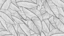 Banana Leaves Wallpaper, Palm Leaves Line Art Pattern Peel and Stick Wall Mural.