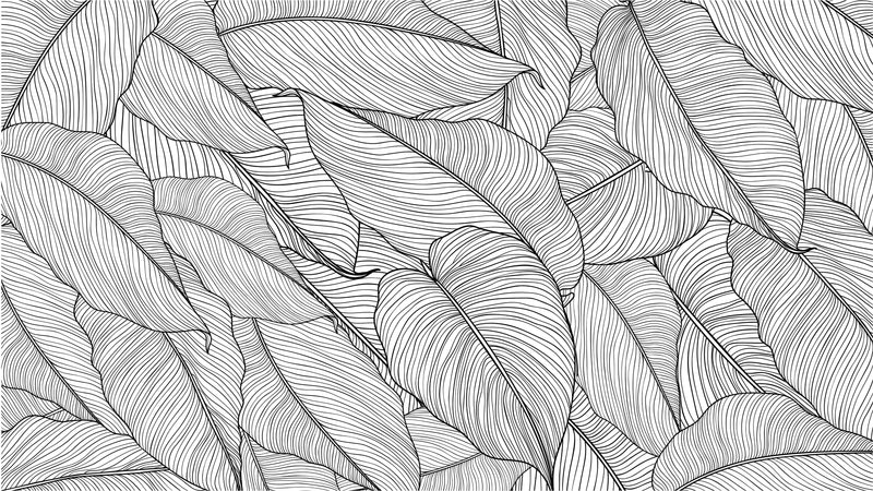 Banana Leaves Wallpaper, Palm Leaves Line Art Pattern Peel and Stick Wall Mural.