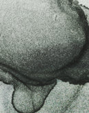 Abstract Black and White Fluid Alcohol Ink Painting Wall Mural. Peel and Stick Wallpaper.