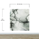 Abstract Black and White Fluid Alcohol Ink Painting Wall Mural. Peel and Stick Wallpaper.
