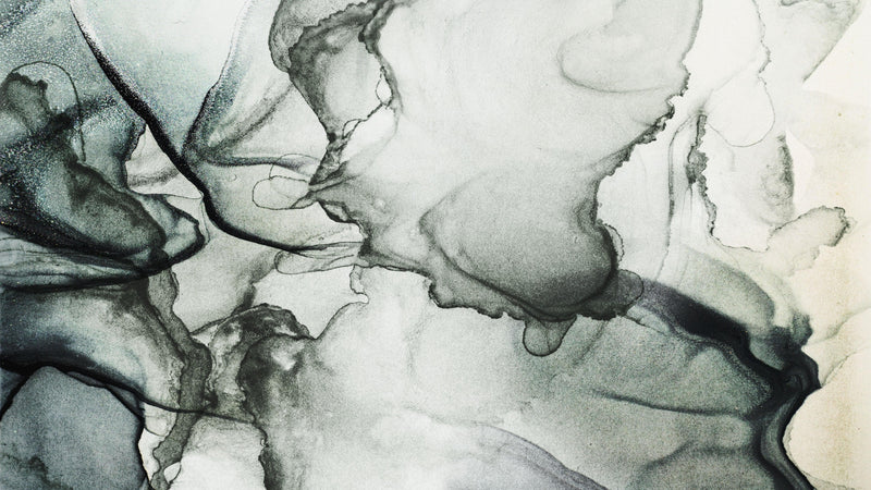 Abstract Black and White Fluid Alcohol Ink Painting Wall Mural. Peel and Stick Wallpaper.