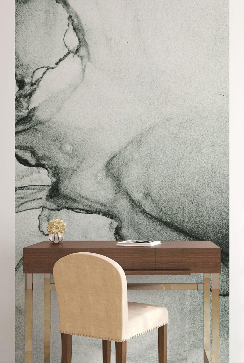 Abstract Black and White Fluid Alcohol Ink Painting Wall Mural. Peel and Stick Wallpaper.
