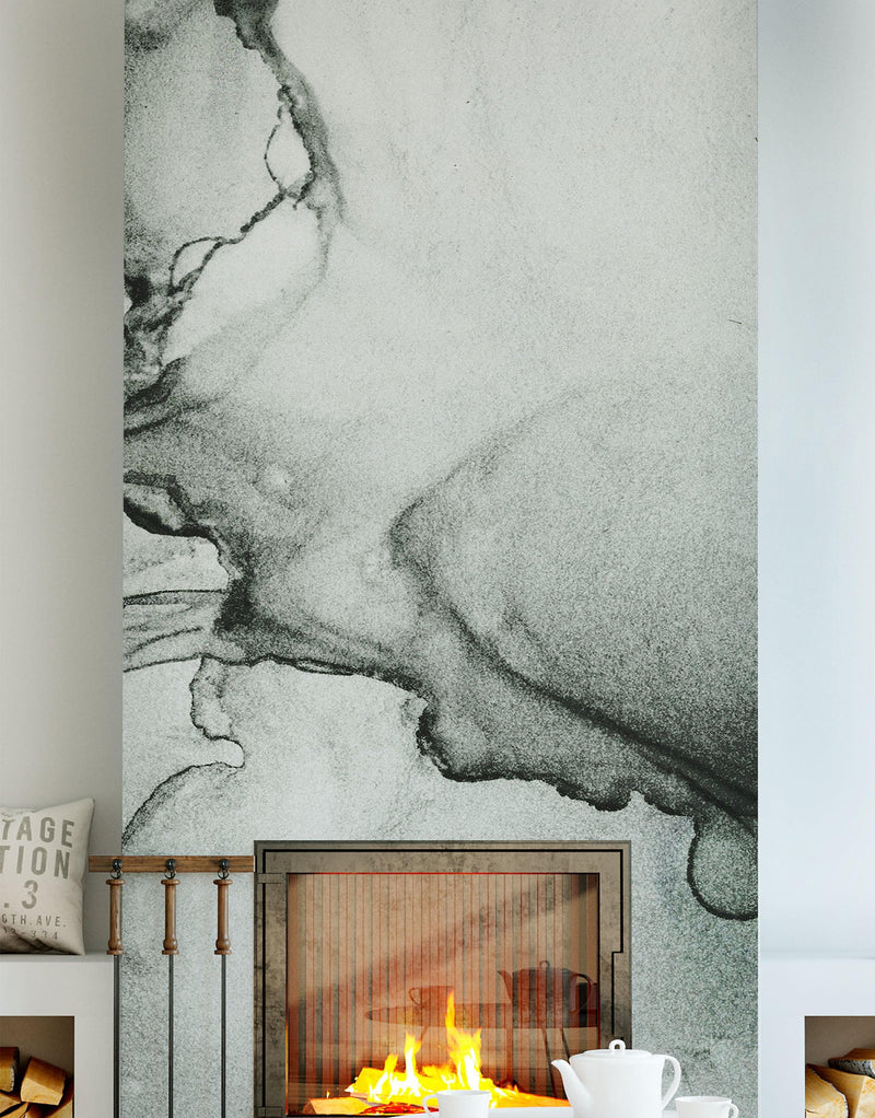 Abstract Black and White Fluid Alcohol Ink Painting Wall Mural. Peel and Stick Wallpaper.