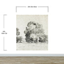 Forest Trees Wallpaper Peel and Stick Mural, Grove of Trees Drawing by Camille Pissarro.