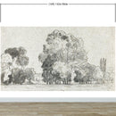 Forest Trees Wallpaper Peel and Stick Mural, Grove of Trees Drawing by Camille Pissarro.