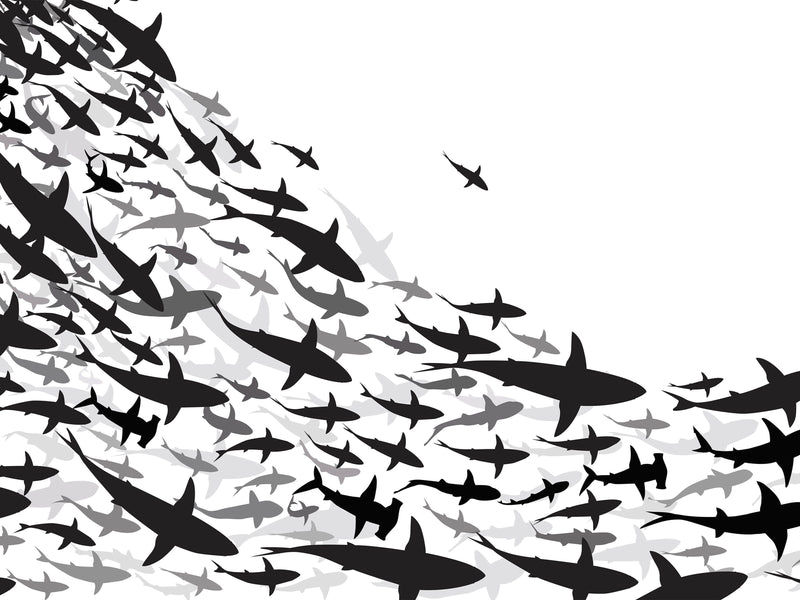 Shark Frenzy Underwater Wall Mural. Peel and Stick Wallpaper. Black and White Shark Silhouettes