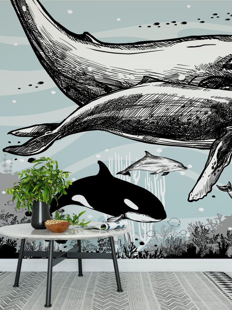 Whale, Dolphin, Killer Whale Wall Mural. Underwater Sea Life Drawing Design. Peel and Stick Wall Mural.