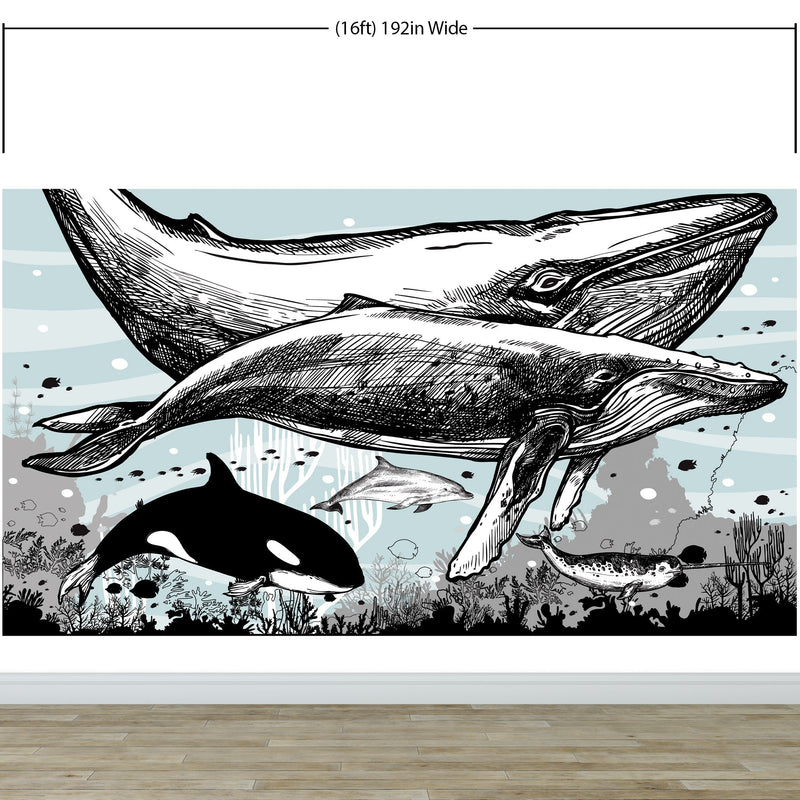 Whale, Dolphin, Killer Whale Wall Mural. Underwater Sea Life Drawing Design. Peel and Stick Wall Mural.