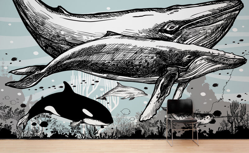 Whale, Dolphin, Killer Whale Wall Mural. Underwater Sea Life Drawing Design. Peel and Stick Wall Mural.