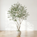 8FT Artificial Olive Tree with Decorative White Planter by HouseOfZazla