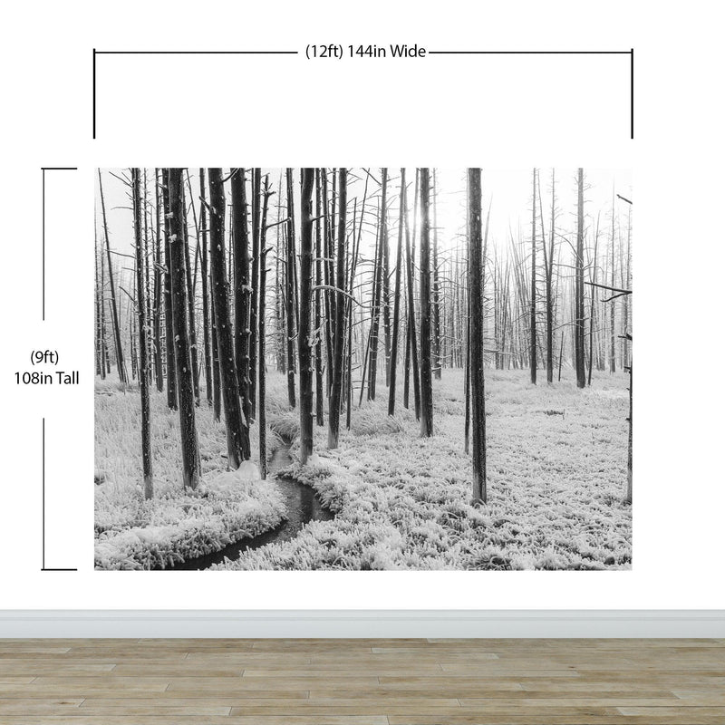 Black and White Forest Landscape Wall Mural. Peel and Stick Wallpaper.