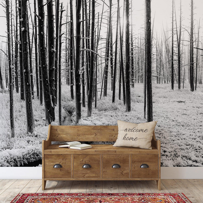 Black and White Forest Landscape Wall Mural. Peel and Stick Wallpaper.