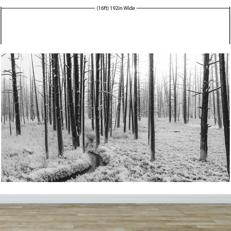 Black and White Forest Landscape Wall Mural. Peel and Stick Wallpaper.